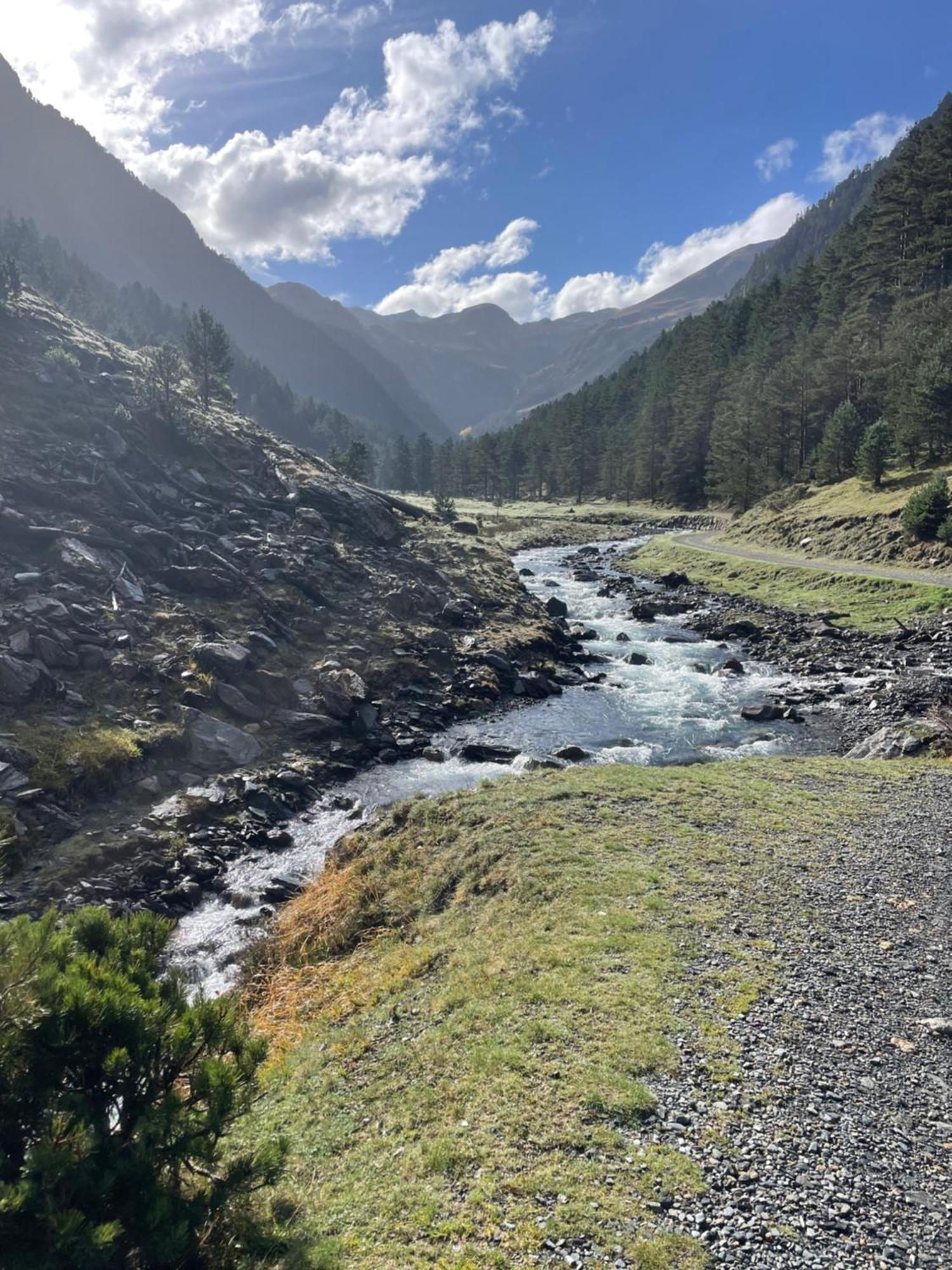 Appt Renove Saint-Lary-Soulan Village Avec Jardin Zewnętrze zdjęcie